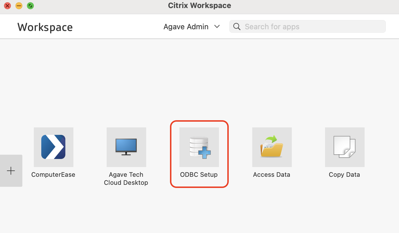 Citrix Workspace view with the ODBC Setup button